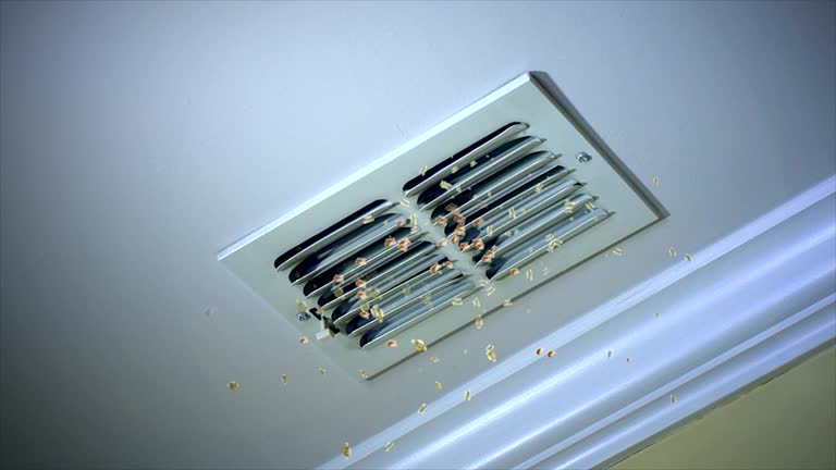 Home Air Vent Cleaning in Livonia, MI