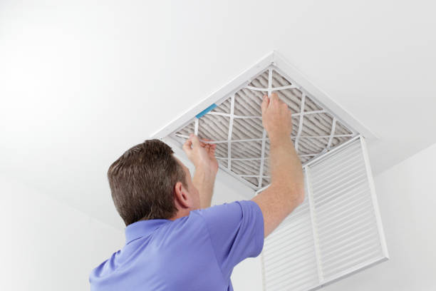 Best Residential Air Duct Cleaning  in Livonia, MI